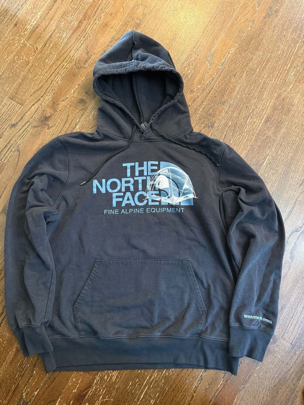 The North Face Fine Alpine Equipment Graphic Pullover Hoodie